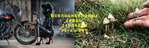 гашик Фёдоровский