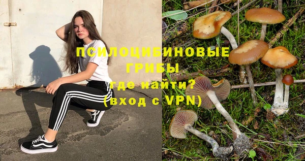 дмт Краснотурьинск