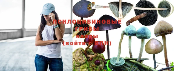 кокаин Краснослободск
