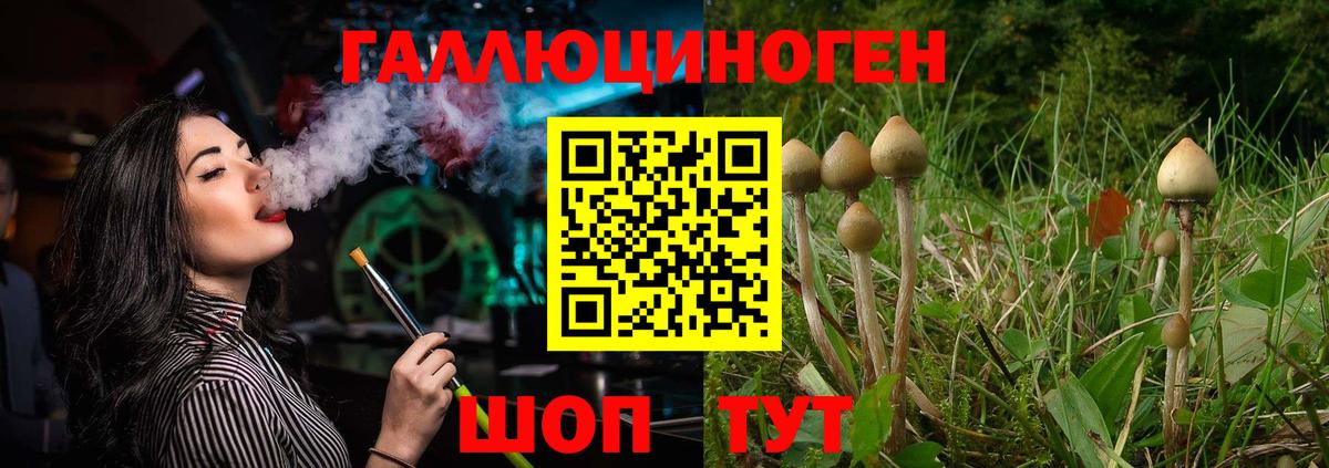Галлюциногенные грибы Cubensis  где найти   Сосновый Бор  Вход с VPN  Псилоцибиновые грибы мицелий 